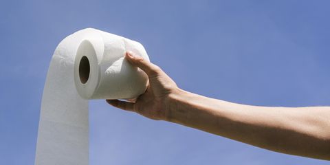 В России изобрели смываемую втулку для туалетной бумаги
