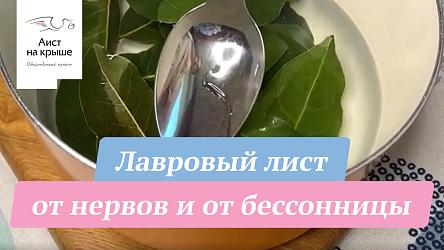 Лавровый лист от нервов и от бессонницы